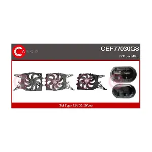 CEF77030GS CASCO