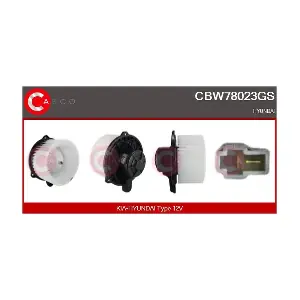 CBW78023GS CASCO