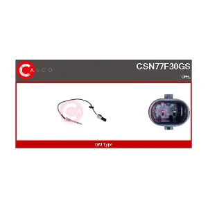 CSN77F30GS CASCO
