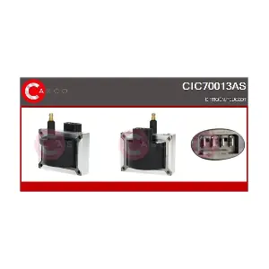 CIC70013AS CASCO