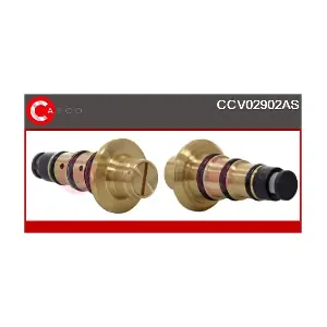 CCV02902AS CASCO