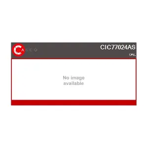 CASCO CIC77024AS