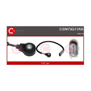 CSN73G17AS CASCO