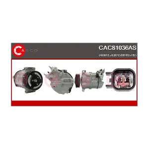 CASCO CAC81036AS