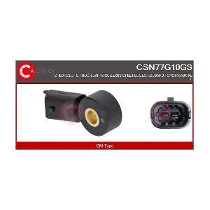 CSN77G10GS CASCO
