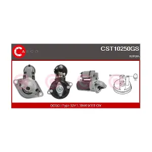 CST10250GS CASCO