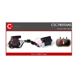 CIC78055AS CASCO