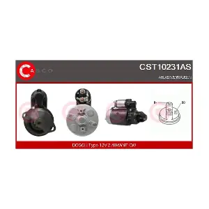 CST10231AS CASCO
