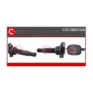 CIC78057GS CASCO