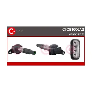CIC81006AS CASCO