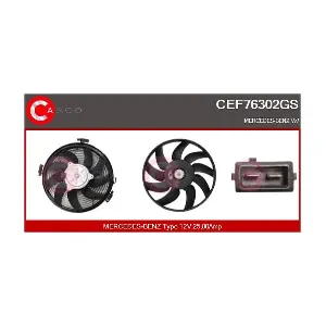 CEF76302GS CASCO