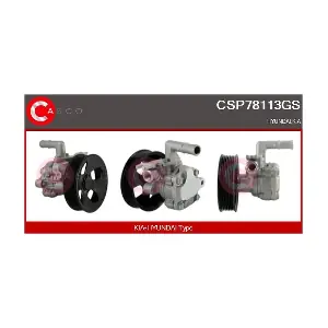 CSP78113GS CASCO