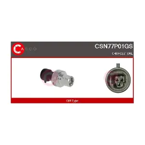 CASCO CSN77P01GS