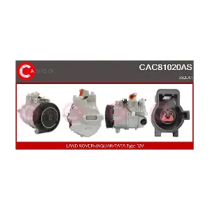 CAC81020AS CASCO