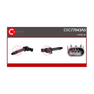 CIC77043AS CASCO