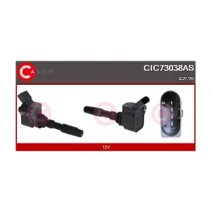 CIC73038AS CASCO