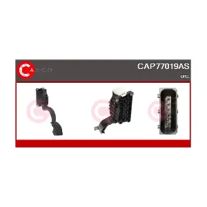 CAP77019AS CASCO