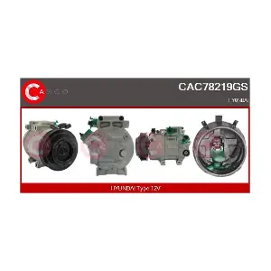 CAC78219GS CASCO