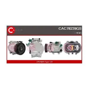 CAC78239GS CASCO