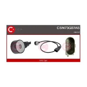 CSN73G07AS CASCO