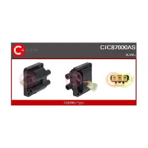 CIC87000AS CASCO