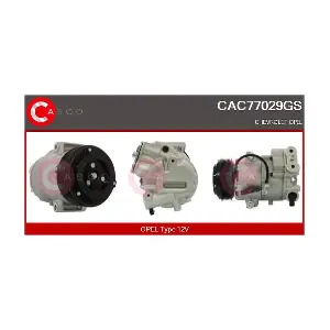 CAC77029GS CASCO