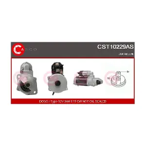 CST10229AS CASCO