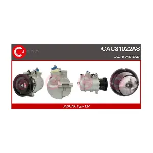 CAC81022AS CASCO