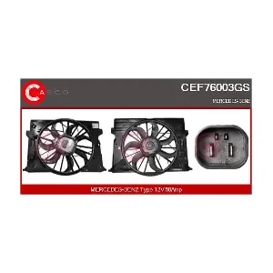 CEF76003GS CASCO