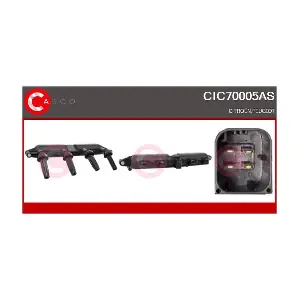 CIC70005AS CASCO