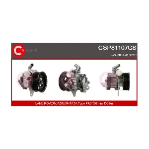 CSP81107GS CASCO