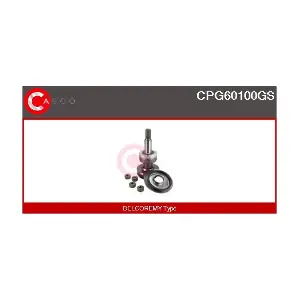 CASCO CPG60100GS