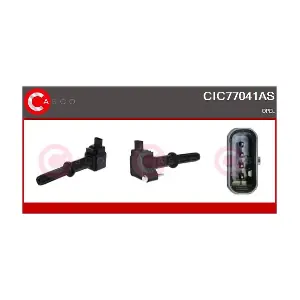 CIC77041AS CASCO