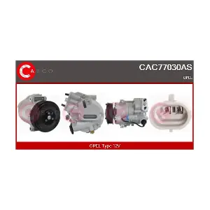 CAC77030AS CASCO