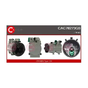 CAC78273GS CASCO