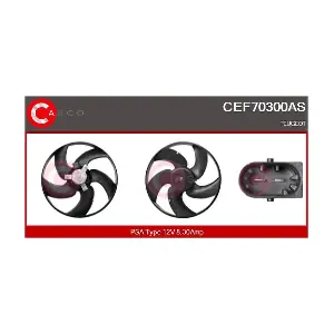 CEF70300AS CASCO