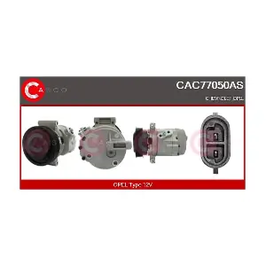 CAC77050AS CASCO