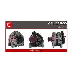 CAL10A99GS CASCO