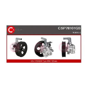 CSP78101GS CASCO