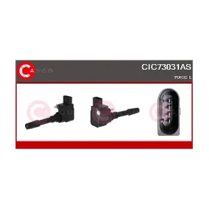 CIC73031AS CASCO