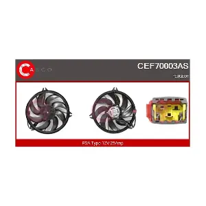 CEF70003AS CASCO