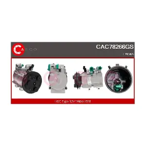 CAC78266GS CASCO