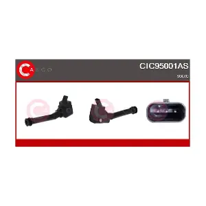 CIC95001AS CASCO