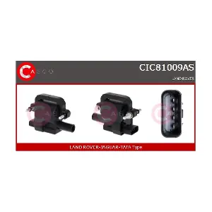 CIC81009AS CASCO