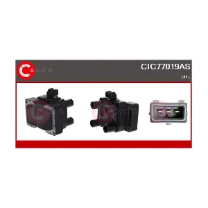 CIC77019AS CASCO