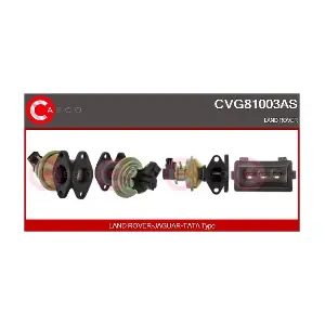 CVG81003AS CASCO