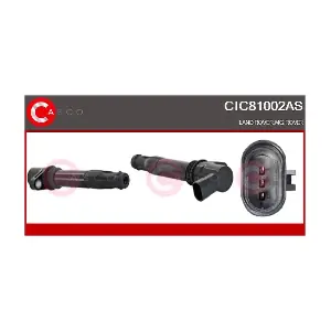 CIC81002AS CASCO