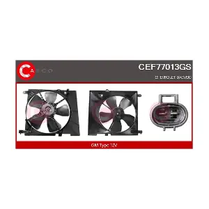 CEF77013GS CASCO