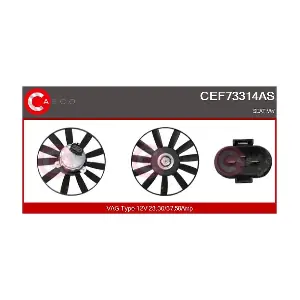 CEF73314AS CASCO
