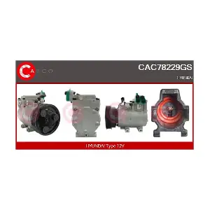 CAC78229GS CASCO